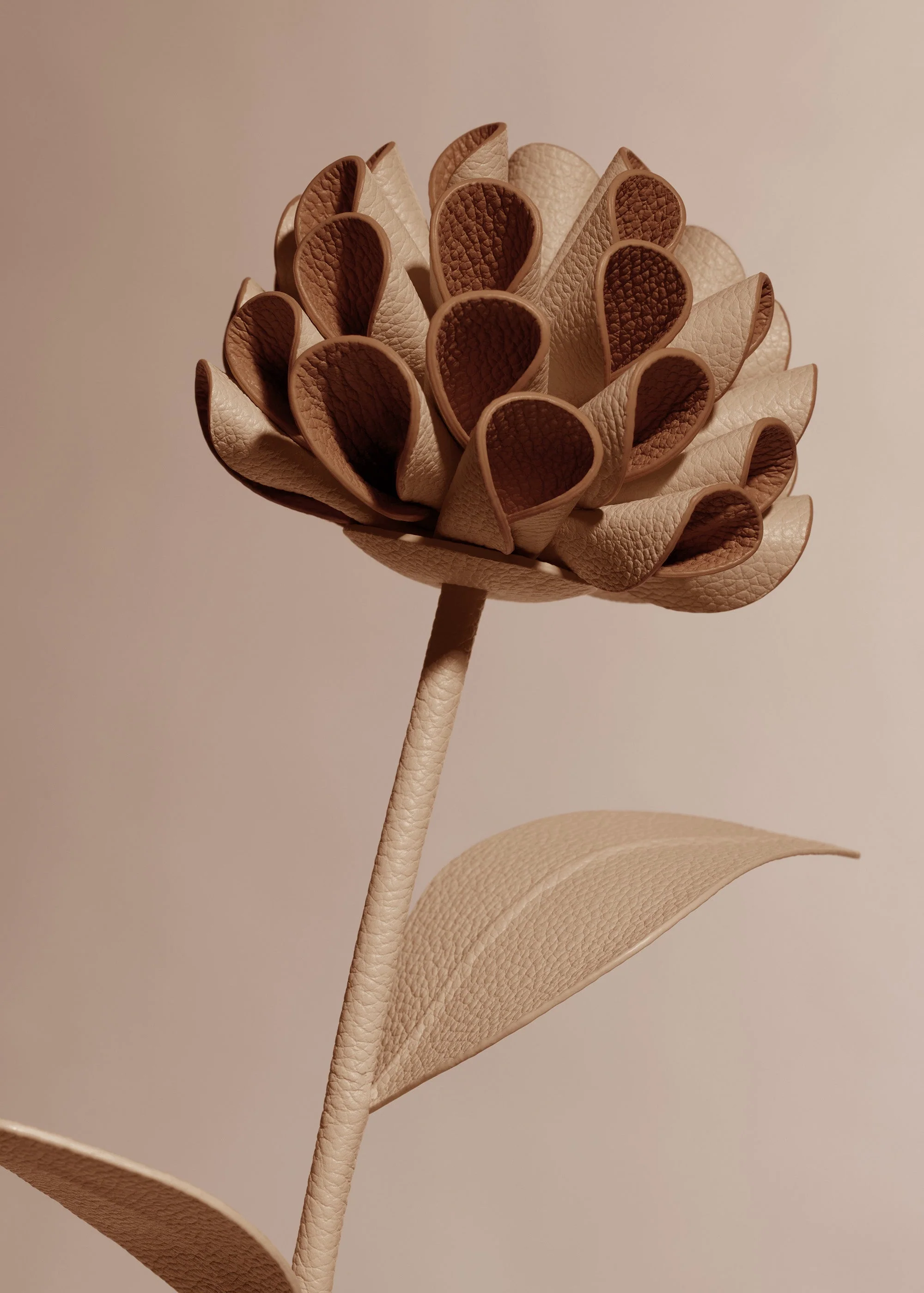 Dalium Flower - Beige - Image 3
