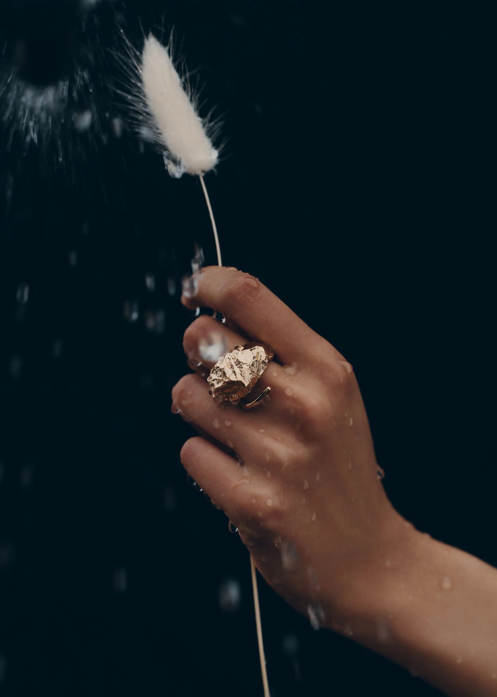 Eroz Ring - 24 carat gold gilded edition - Image 5