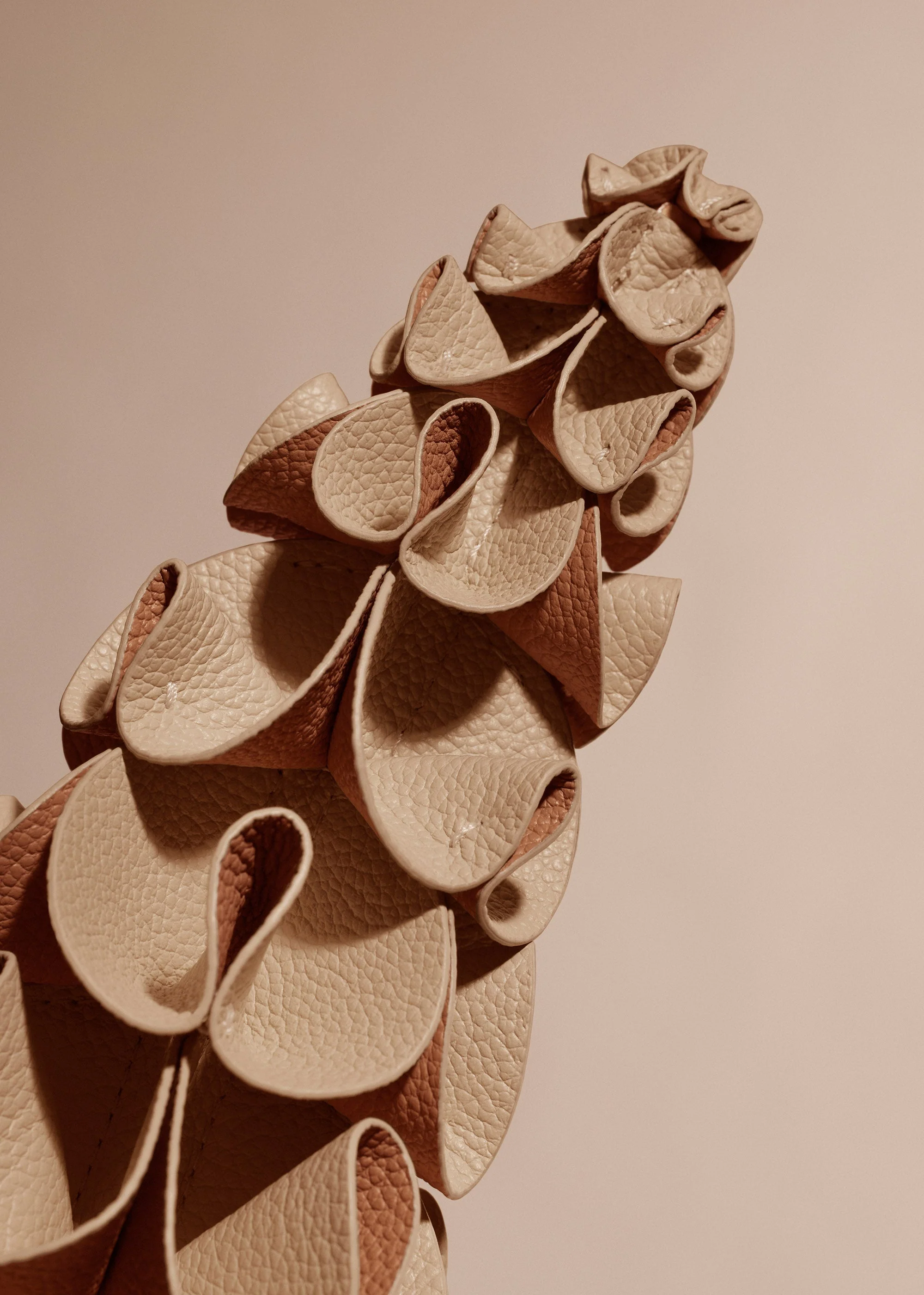 Orki Flower - Beige - Image 3